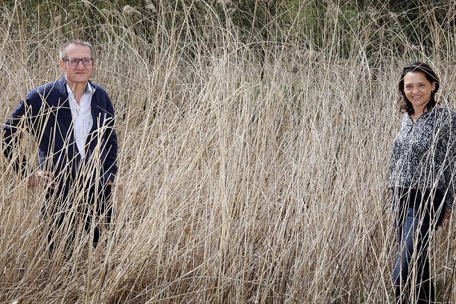 Wesseling Ebbens WOA